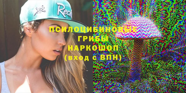 СК Богородицк