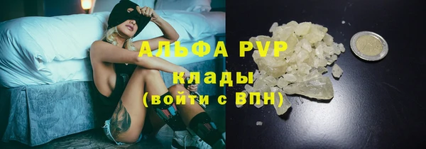 СК Богородицк