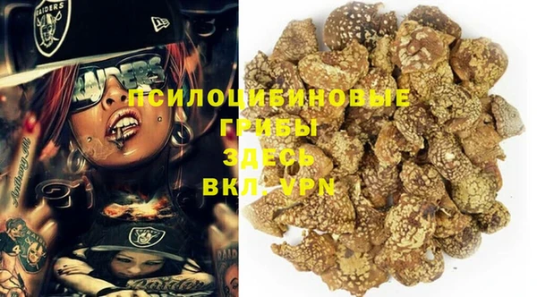 марки nbome Бородино