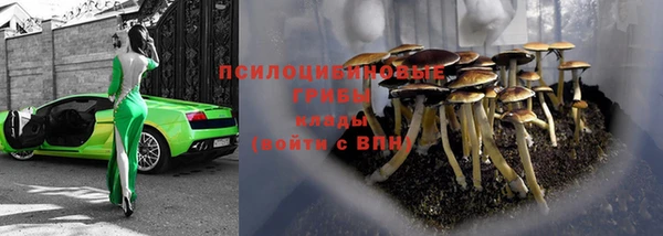 гидропоника Богданович