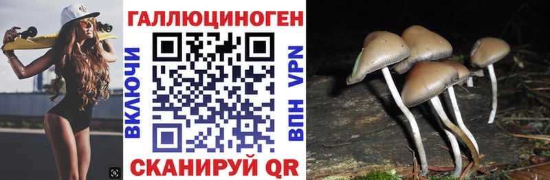 Галлюциногенные грибы мухоморы  Горно-Алтайск 